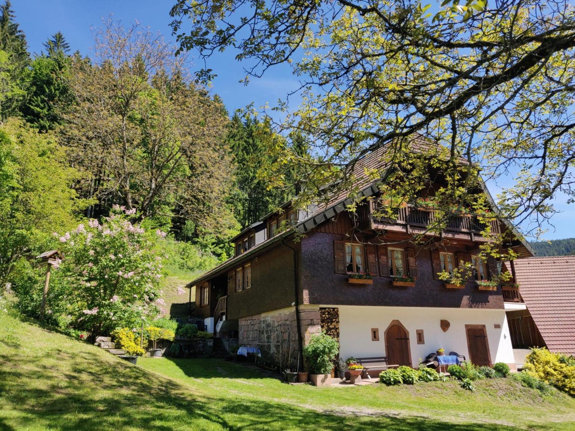 Ferienwohnungen Vogt'S Libding Bad Rippoldsau-Schapbach Esterno foto